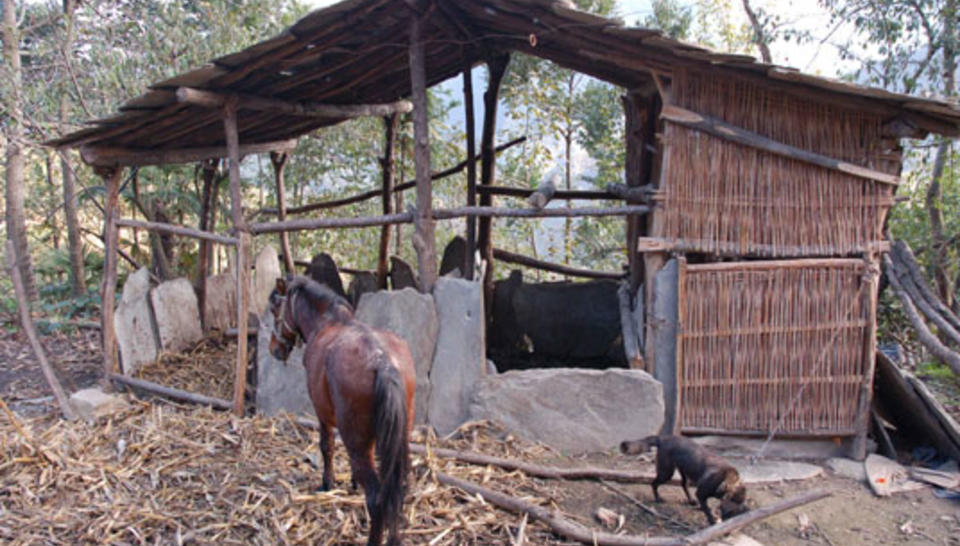 Pour la survie des pandas… et des montagnards du Sichuan diaporama,4524-Animal-barn-2-Luan-Touping.jpeg