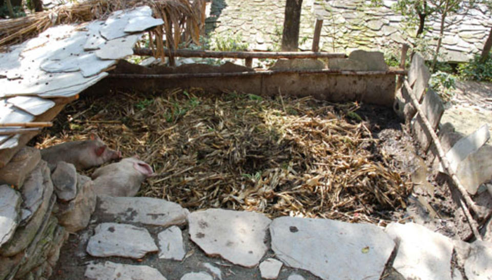 Pour la survie des pandas… et des montagnards du Sichuan diaporama,4525-Animal-barn-Luan-Touping.jpeg