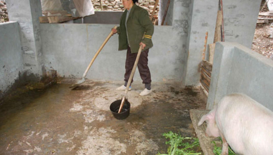 Pour la survie des pandas… et des montagnards du Sichuan diaporama,4539-New-animal-barn-2-Luan-Touping.jpeg